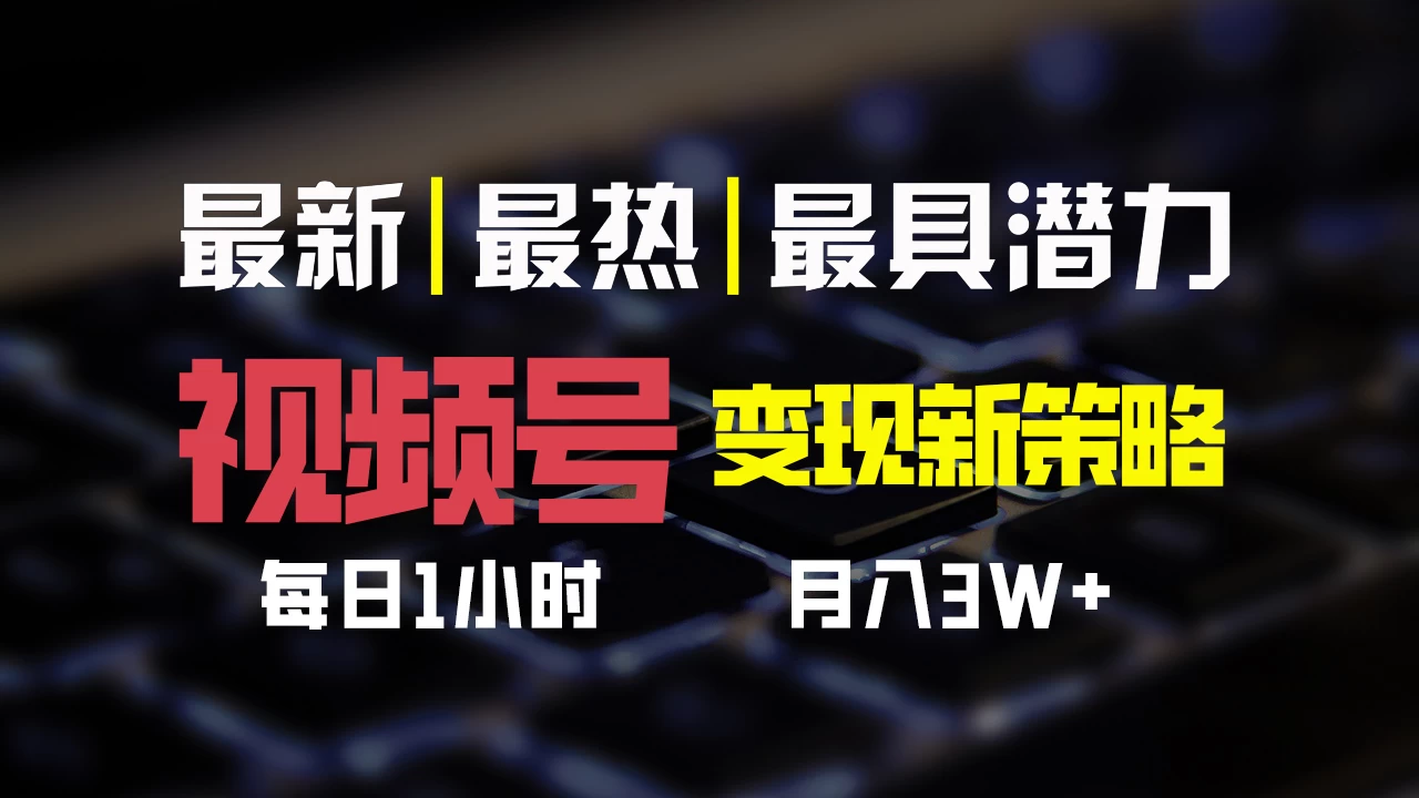 视频号变现新策略，每日只需一小时，月入30000+ - 项目资源网
