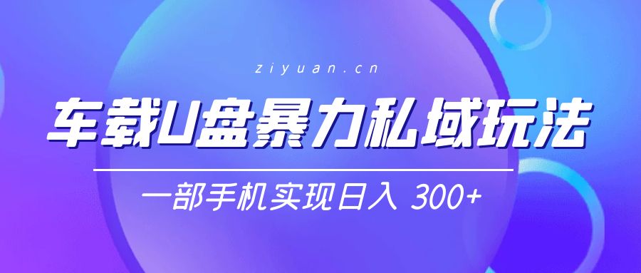 车载 U 盘暴力私域玩法：一部手机实现日入 300+ - 项目资源网