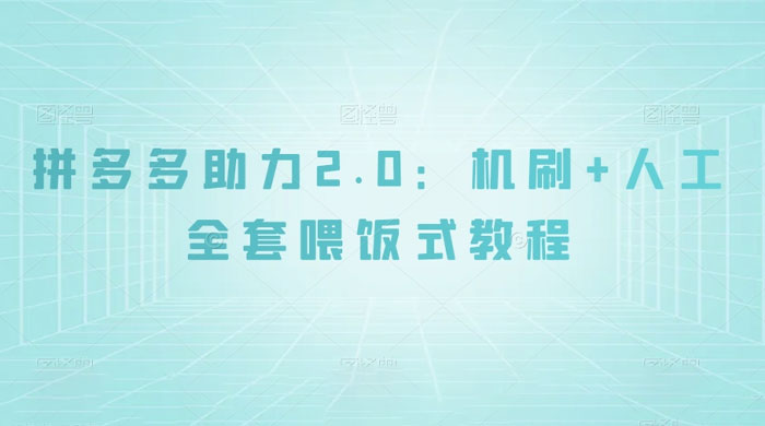 拼夕夕助力 2.0 新玩法:机刷+人工全套交付,喂饭式教程 - 项目资源网
