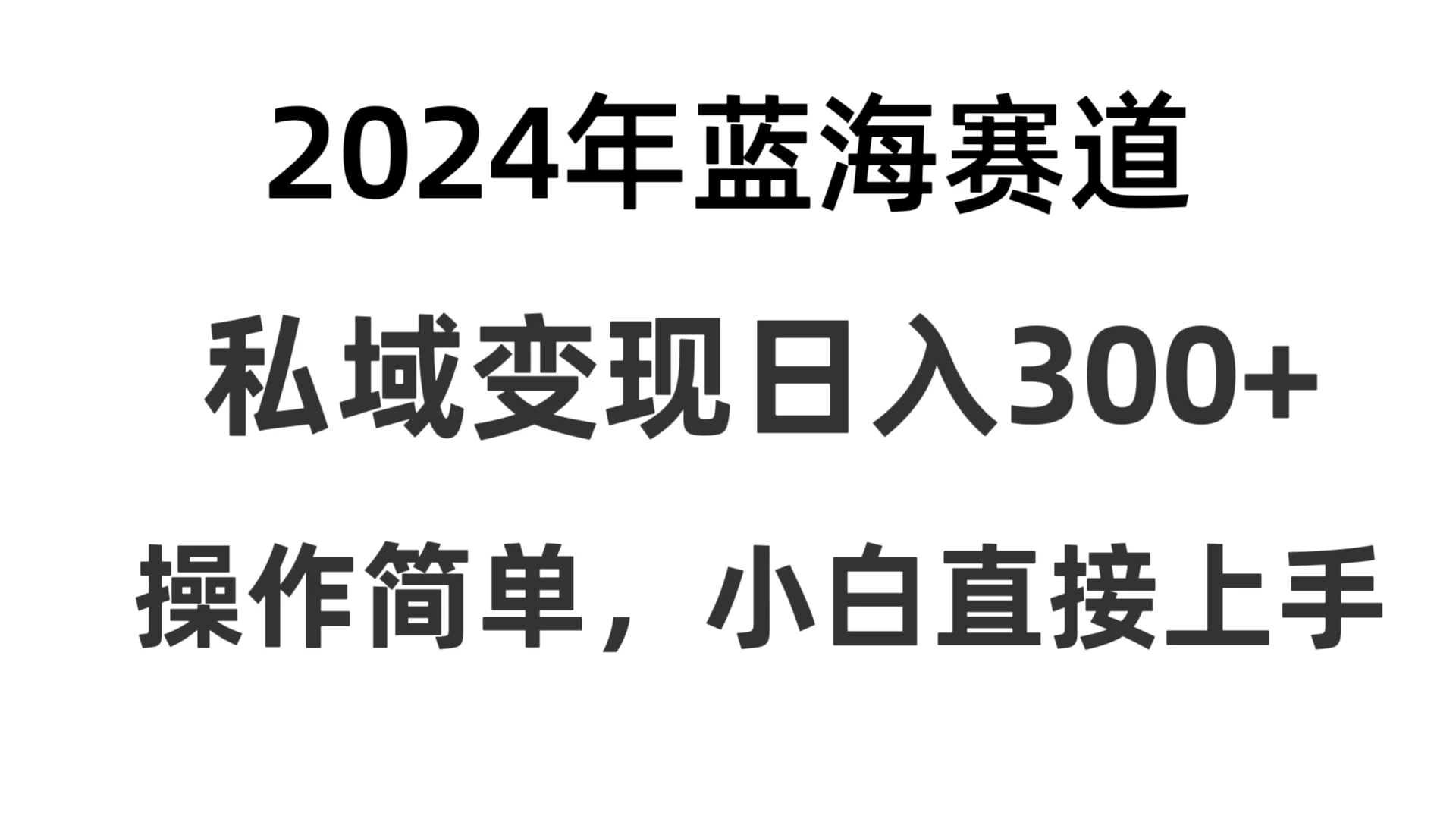 2024抖音蓝海赛道,私域变现日入300+,操作简单,每年只需一小时,纯小白可直接上手 - 项目资源网
