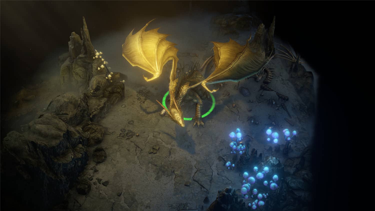 CRPG游戏《开拓者:正义之怒》v2.0.5o 中文版 CRPG游戏《开拓者:正义之怒》v2.0.5o 中文版
