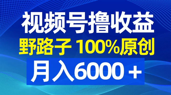 视频号野路子撸收益,100% 原创,条条爆款,月入 6000+ - 项目资源网