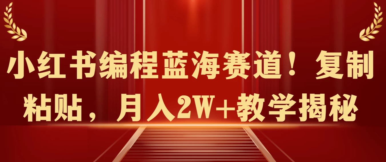 小红书编程蓝海赛道!复制粘贴,月入2W+教学揭秘 - 项目资源网