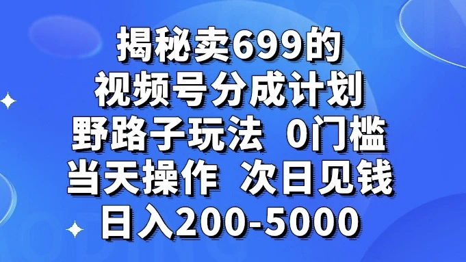 揭秘卖 699 的视频号分成计划野路子玩法,日入 200-5000,0 门槛,当天操作,次日见钱 - 项目资源网