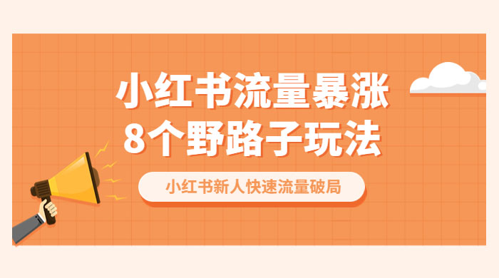 小红书流量暴涨 8 个野路子玩法：小红书新人快速流量破局（ 8 节课） - 项目资源网