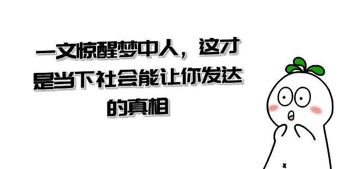 某公众号付费文章《一文惊醒梦中人，这才是当下社会能让你发达的真相》 - 项目资源网