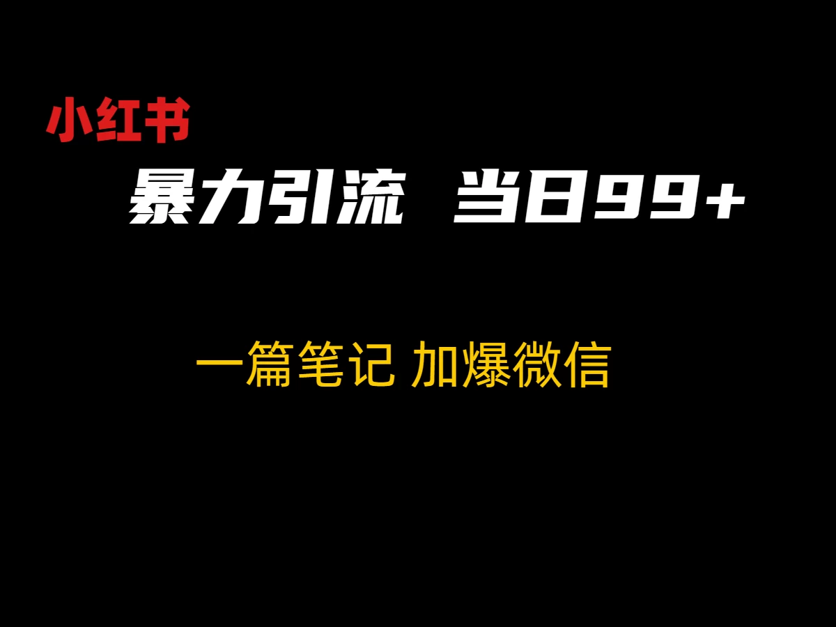 小红书暴力引流方法，当日99+，非常简单的引流方法 - 项目资源网