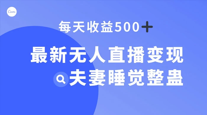 最新无人直播变现,夫妻睡觉整蛊,每天躺赚 500+ - 项目资源网