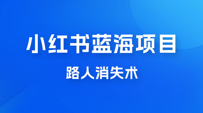小红书蓝海项目，路人消失术，实测一天 300+ - 项目资源网