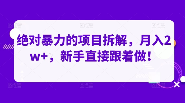 绝对暴力的项目拆解，月入 2w+，新手直接跟着做【揭秘】 - 项目资源网