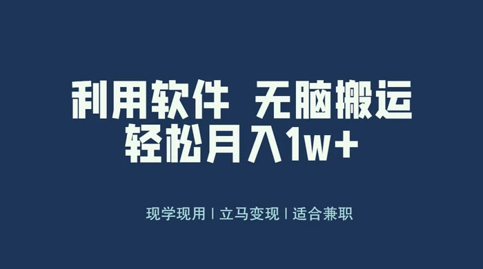 最新蓝海独家玩法，利用软件无脑搬运，小白轻松日入1000＋ - 项目资源网