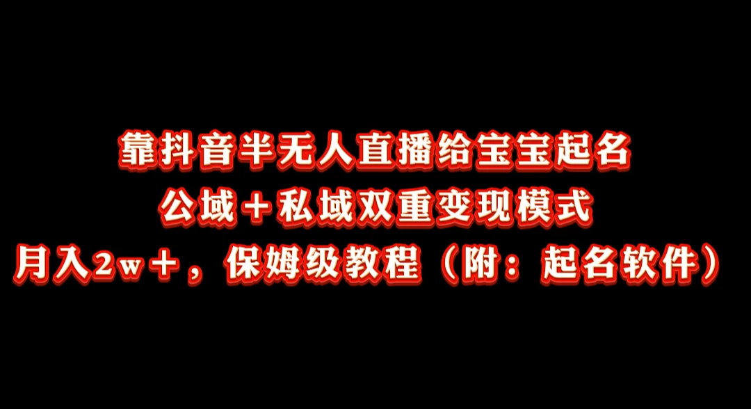 靠抖音半无人直播给宝宝起名，公域＋私域双重变现模式， 月入20000＋，保姆级教程（附：起名软件） - 项目资源网
