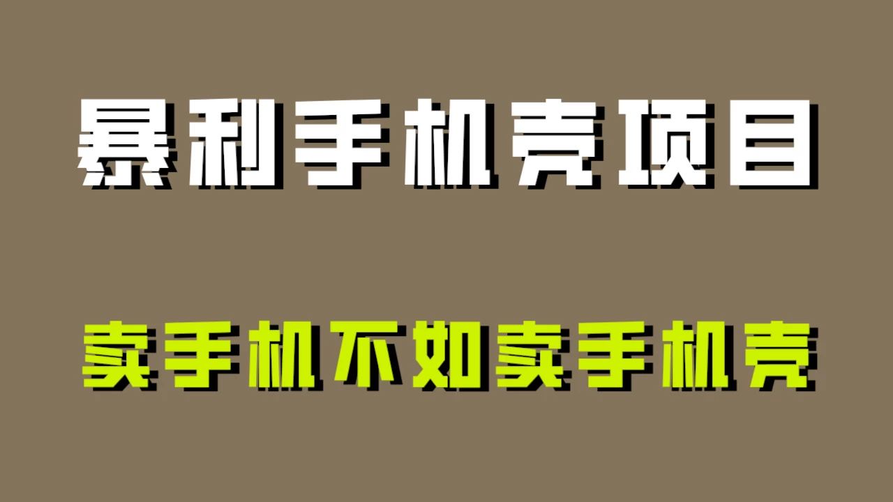 卖手机不如卖手机壳，暴利手机壳项目玩法拆解！ - 项目资源网